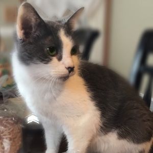 Meet your Posher, Danika